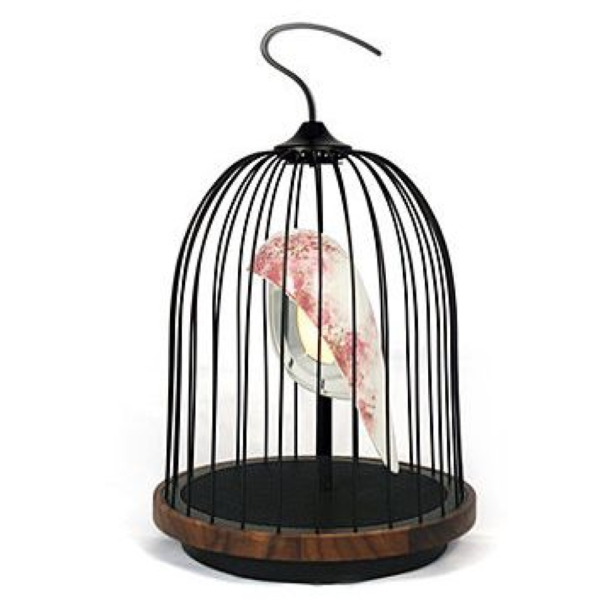 Daqi JG01-CB Jingoo 櫻花鳥 無線音響燈 (限量版)