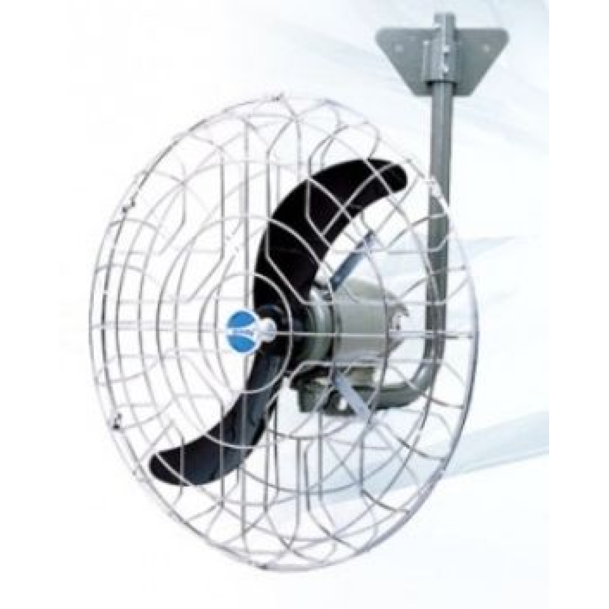 Windy 大風牌 WW-200M 20" 牛角掛牆風扇 (密網)