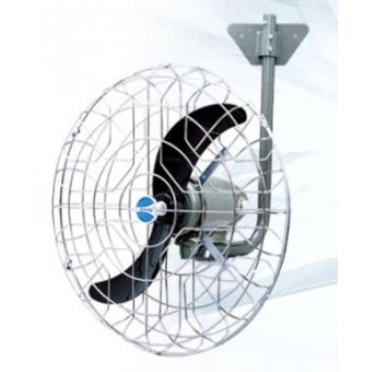 Windy 大風牌 WW-255M 25" 牛角掛牆風扇 (密網)