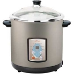 Famous 法國名家 DYG-40AFP 10公升 多功能陶瓷電子燉煲